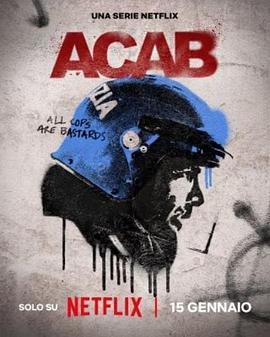 灰色秩序 A.C.A.B. La serie 灰色秩序 A.C.A.B. La serie
