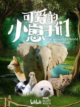 可爱的小崽子们 The Wonderful World of Baby Animals