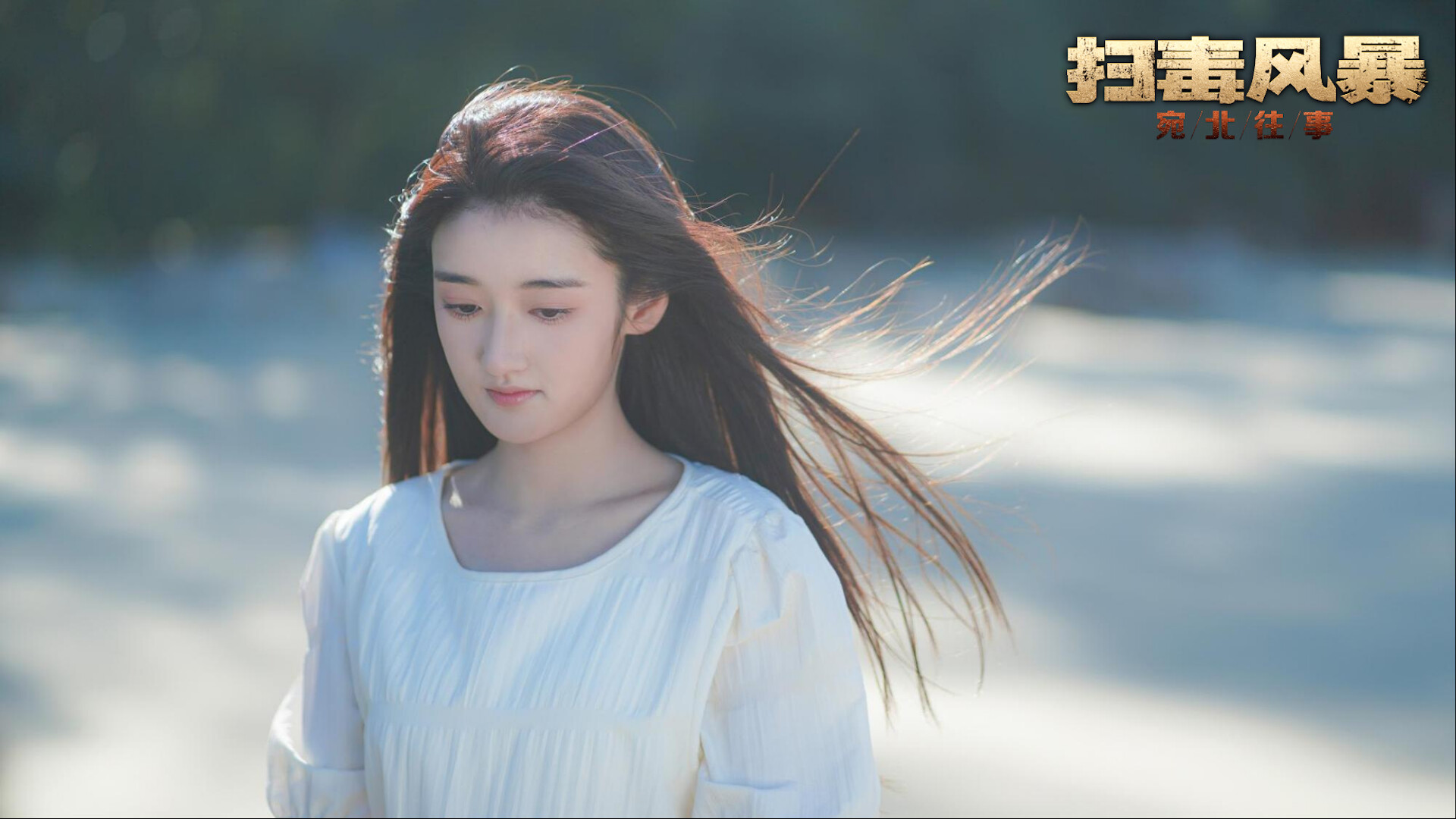 【PC游戏】扫毒风暴:宛北往事 Build.19524111(The Narcotic Operation)免安装中文版